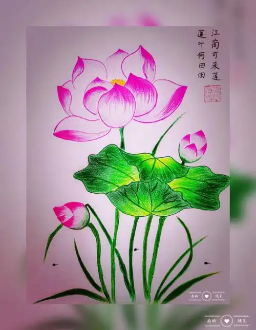 第一次彩铅画临摹和简笔画临摹