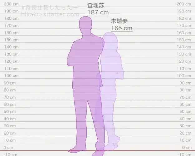 我和光夜男主的身高差