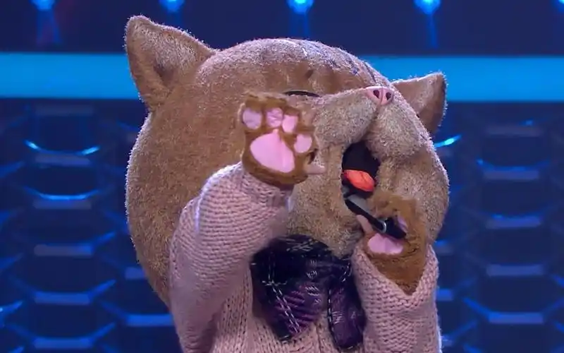 【吴青峰】超萌猫咪跳舞_哔哩哔哩 (゜-゜)つロ 干杯~-bilibili