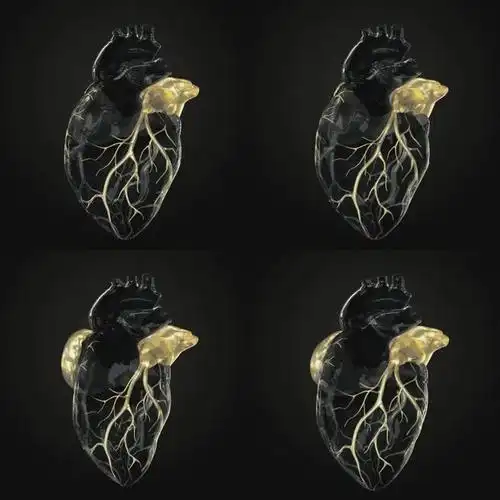 黑色心脏 心脏跳动 心动  心跳声 人体