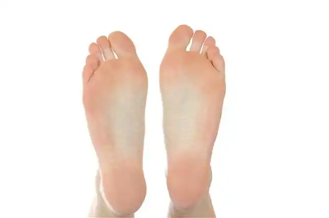 脚底图片_全景网