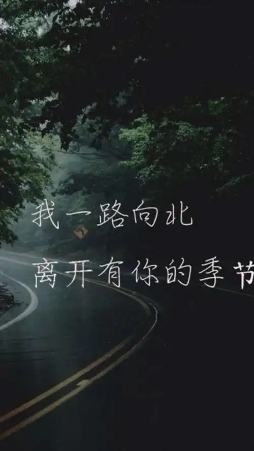 我一路向北.离开有你的季节.