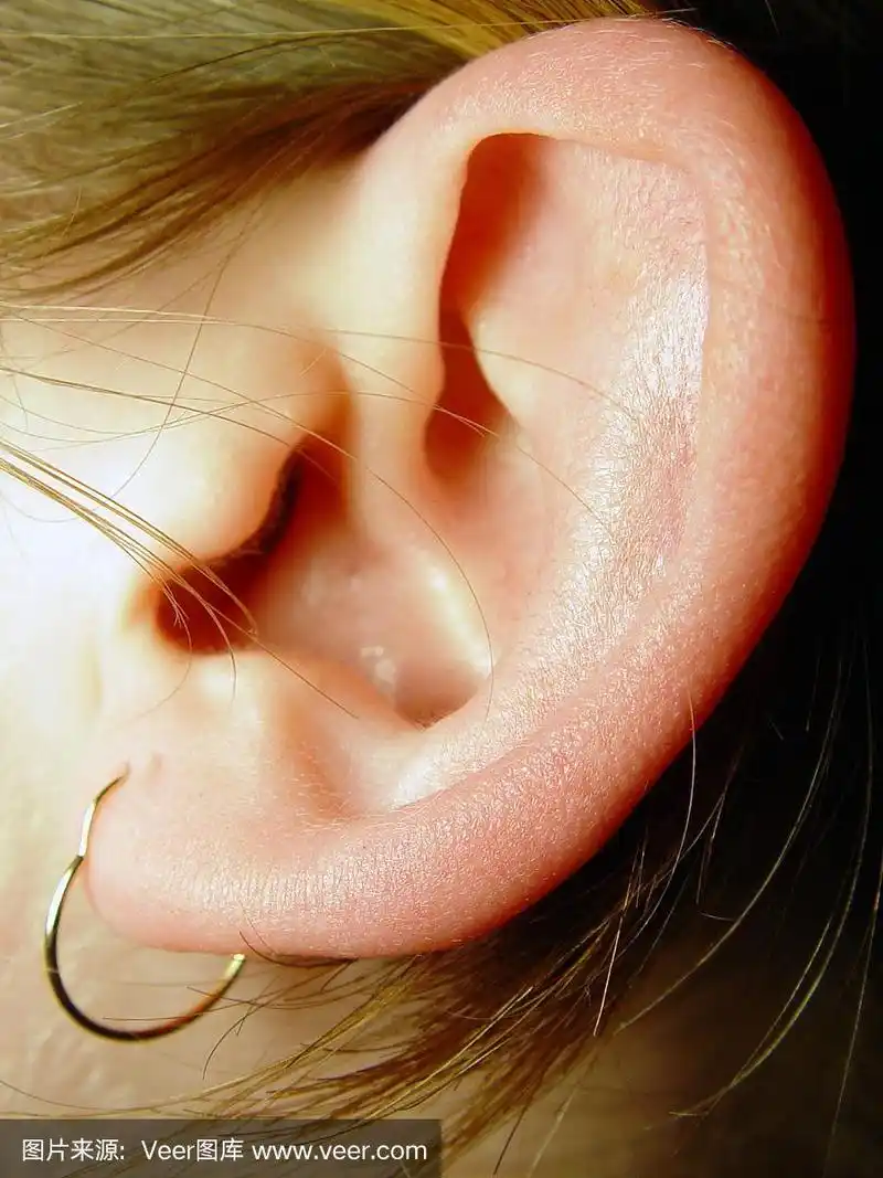 特写镜头的耳朵