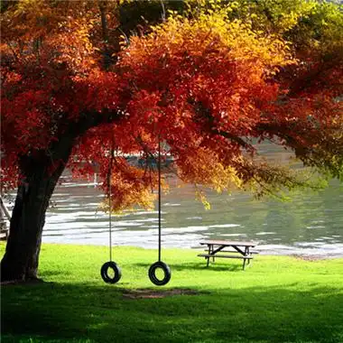 qq头像风景唯美小清新高清唯美小清新风景图