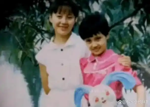 演员袁泉的人生故事坚韧执着却又能否做到真正豁达