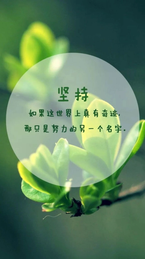 花卉意境励志文字唯美桌面壁纸