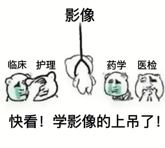 医学生期末表情包学医你后悔了嘛