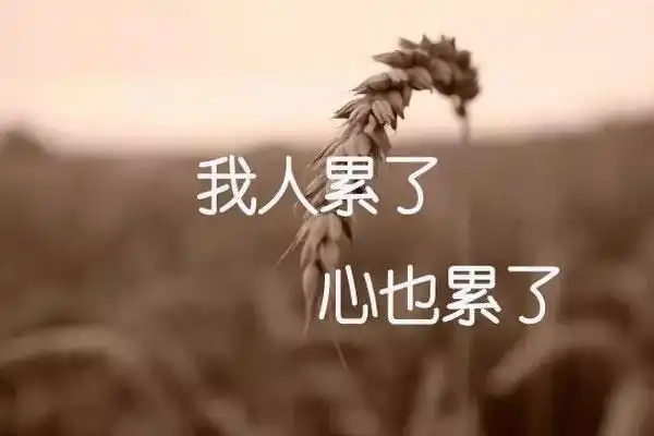 心累的图片