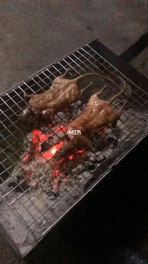 烤老鼠泰国