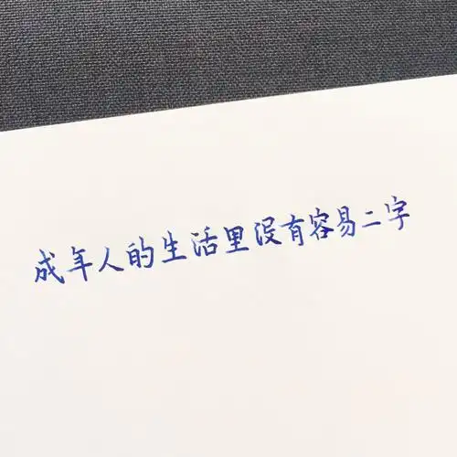 成年人的生活里没有容易二字——.