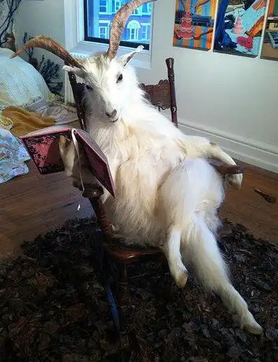 跳山羊动图笑话_搞笑跳山羊动图精选_爆笑跳山羊动图大全_别逗了