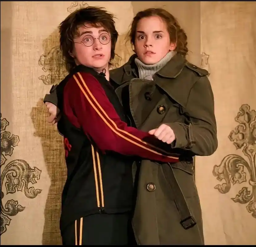 哈赫#哈利波特  #赫敏格兰杰 #哈迷聚众地 - 抖音