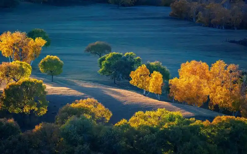 壁纸 秋天,树木,草原 5120x2880 uhd 5k 高清壁纸, 图片, 照片