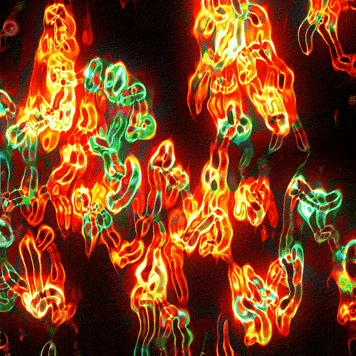 gif拯救计划# 舞动 / 七彩 / 火焰 / 网格