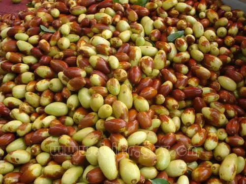 首页->专题->怀柔桥梓第三届大枣文化节