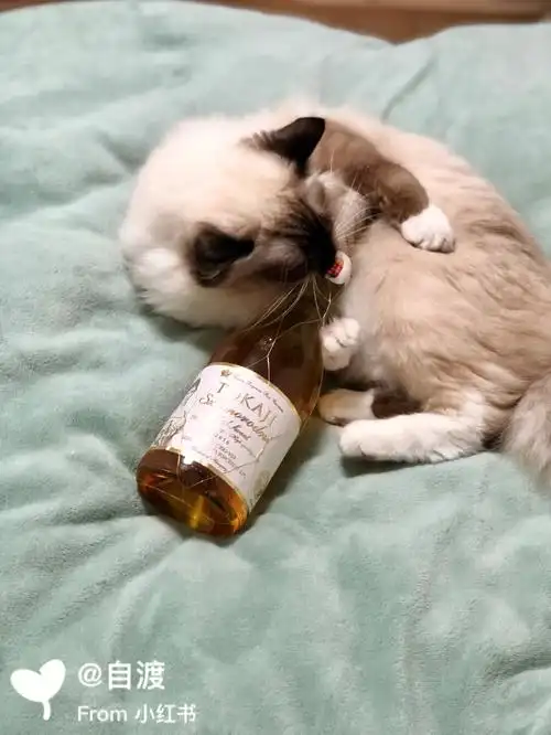 跨年夜  一个人在家不容易,记得按时喝酒