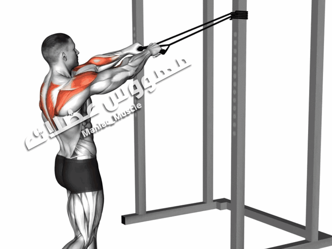 如何加强菱形肌的力量纠正圆肩驼背的姿势