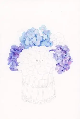 一束有容器的绣球花水彩步骤分享