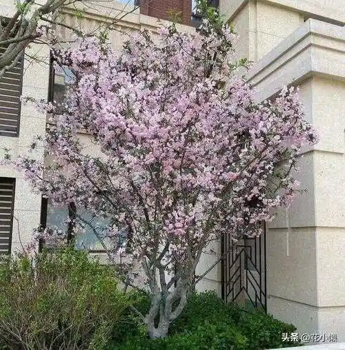 来自:>零壹贰012>《堪舆风水>640_650