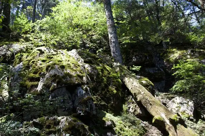 徒步穿越神农架无人区