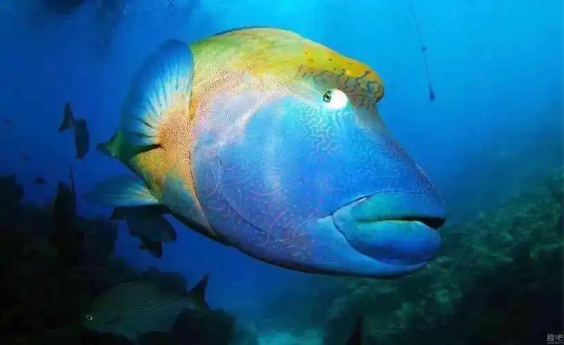 好奇怪 ,中了这么多个新股!为什么这个人气这么低?是好事吧