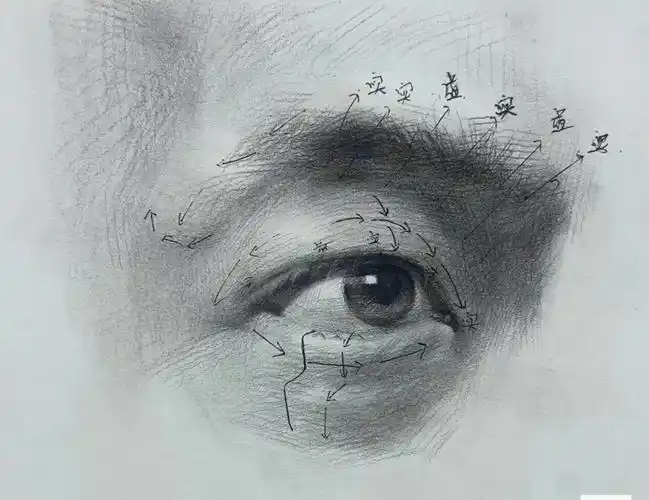 素描头像局部五官虚实关系