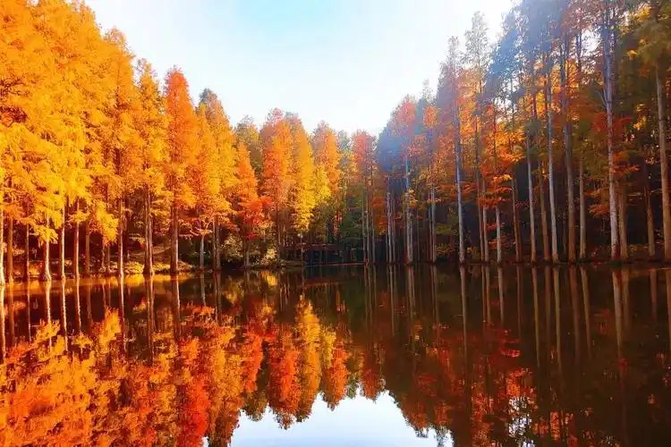 波尔登森林公园色彩斑斓美如油画