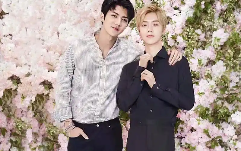 勋鹿#吴世勋鹿晗 束缚