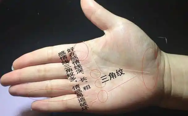 质量单位mg是什么意思m是大写_女人m手纹是什么意思_女人右手手纹与