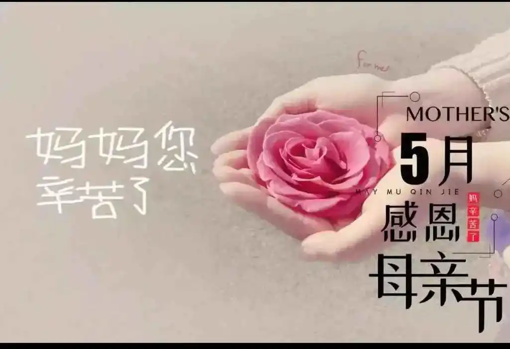 感恩母亲节.