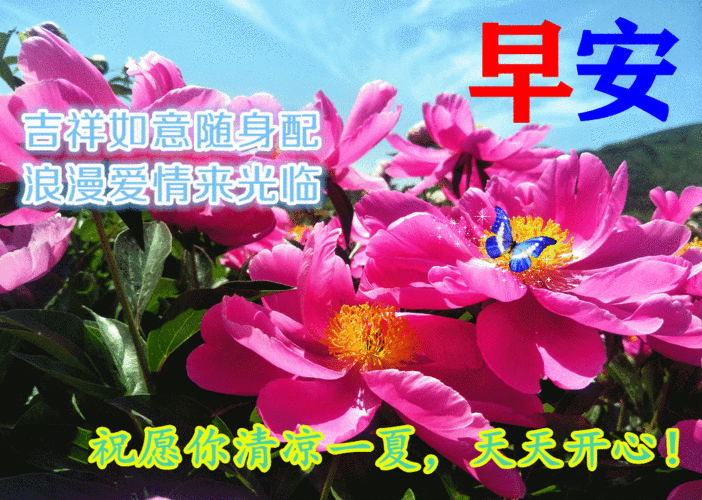 早上好动态表情图片大全三伏天早上好问候语句子