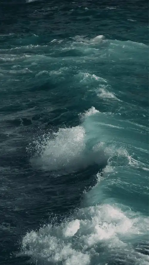 大海传奇大海图(深海传奇)