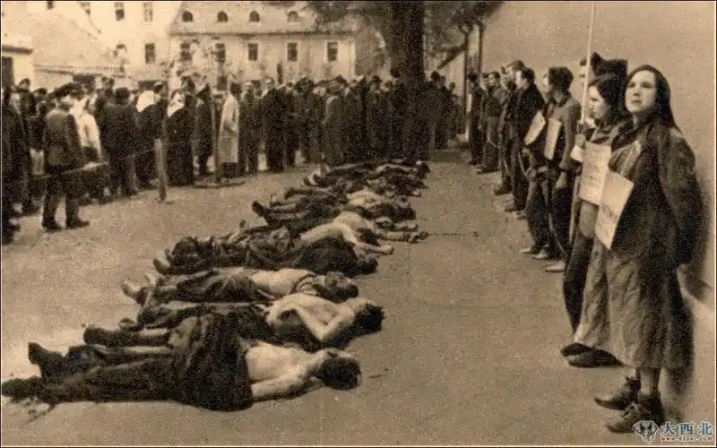 德国二战后废除死刑目的为救纳粹战犯性命