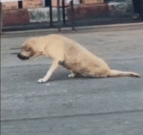 健身不练腿,迟早要后悔!