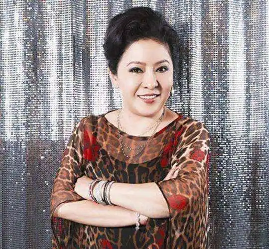 向太陈岚霸气:"我是向华强的女人"_丈夫_丁佩_李连杰