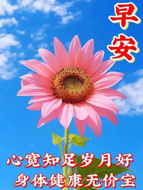 11月3日最新早安问候漂亮图片,早上好问候祝福语