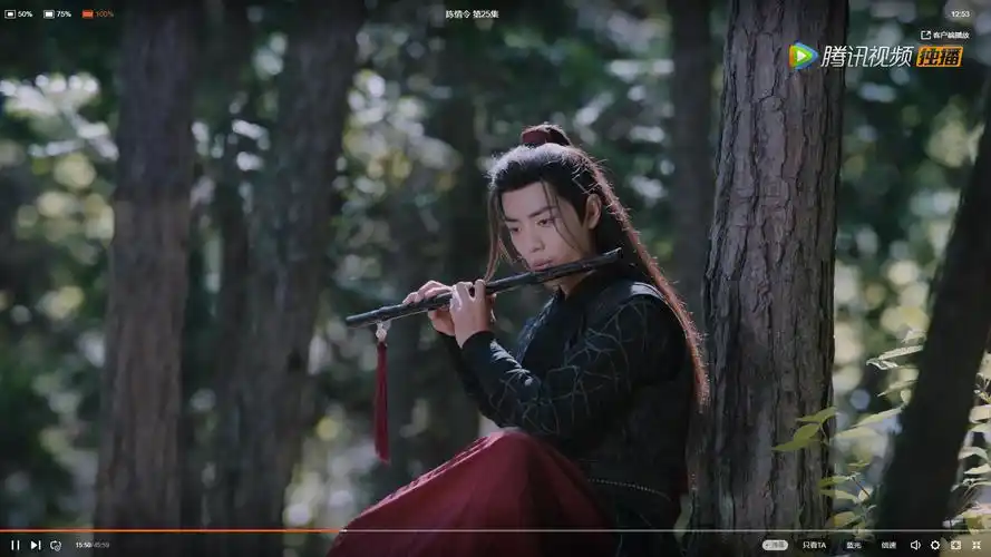 陈情令,吹笛子的魏无羡