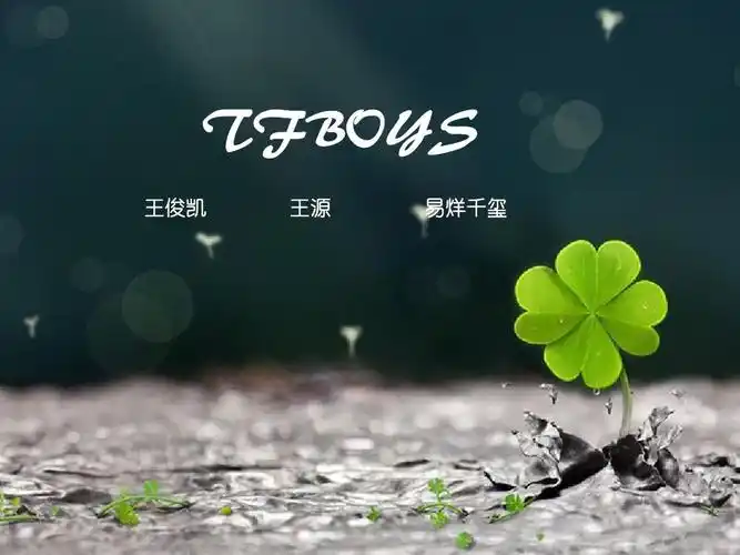 四叶草专属 tfboys 王俊凯 王源 易烊千玺