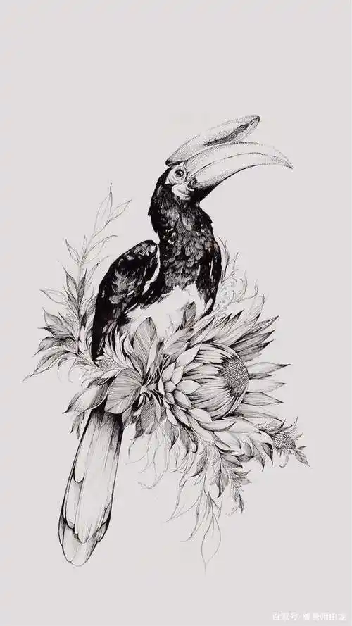 花鸟纹身手稿图案