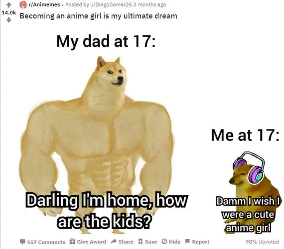 doge什么意思活在你表情包里的神烦狗doge