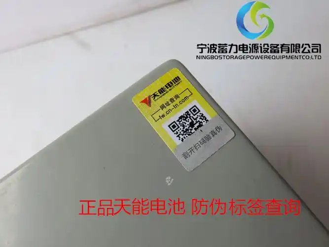 宁波天能6evf100蓄电池扫地机电瓶,执法巡逻车观光车升降机电瓶