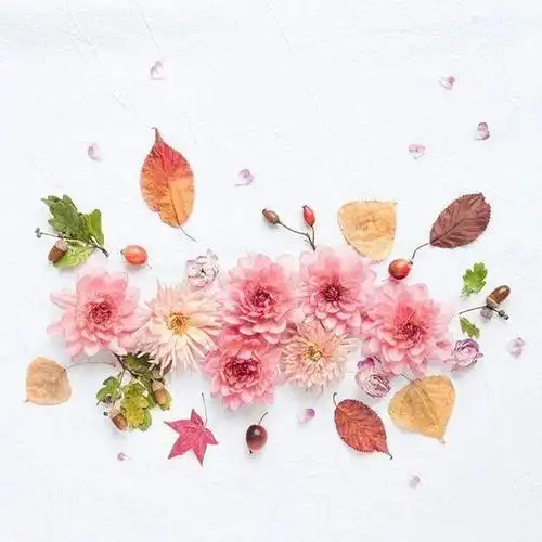 2020触动心灵的唯美文艺说说读一遍就念念不忘