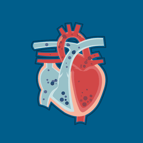 默沙东:tesco心血管研究微信新闻发布会 互动网站 - 数英