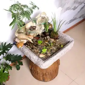 室内水池假山图片