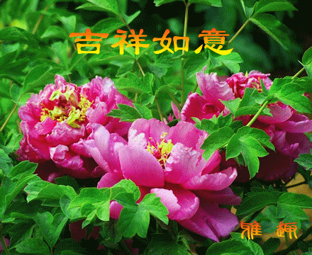 家和美满.康健如意.国庆快乐!