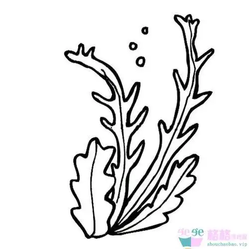 简笔画彩色海草怎么画 彩色海草简笔画画法步骤教程植物简