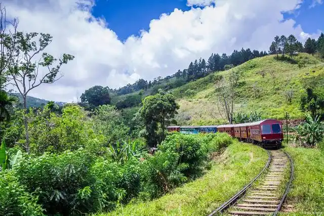 阿里山是台湾省的著名旅游风景区,台湾八大名胜之一, 也是全台湾最
