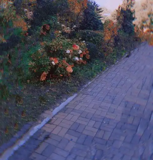 新浪微博 qq空间 复制链接 回复 来自android客户端1楼2021-10-01 14