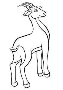 小可爱羚羊站和微笑照片