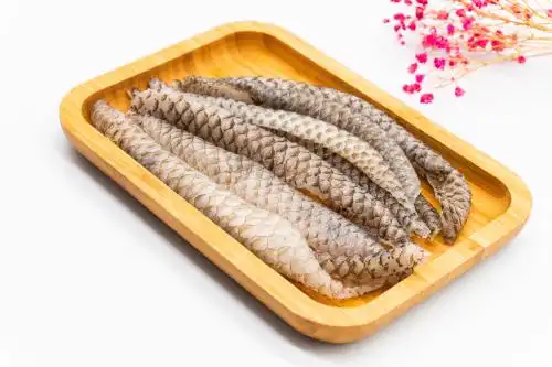 白色背景罗非鱼皮 鱼皮